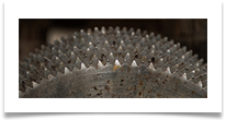 Teeth.  (salt museum). jpg - Richard Nicholls